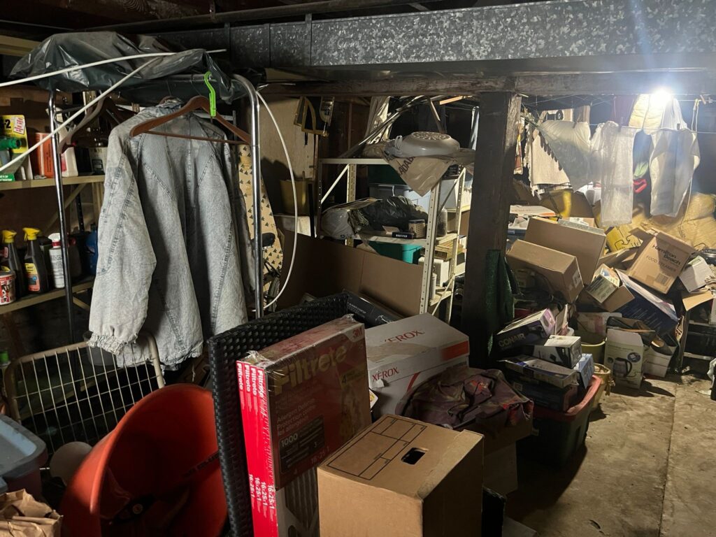 How to Handle Rat-Infested Property Cleanup and Junk Removal in Vancouver